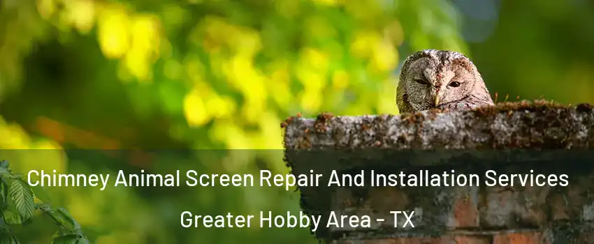 Chimney Animal Screen Repair And Installation Services Greater Hobby Area - TX