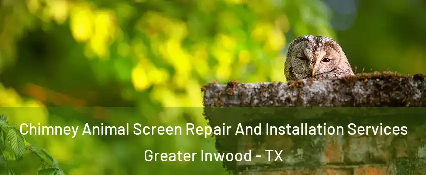 Chimney Animal Screen Repair And Installation Services Greater Inwood - TX