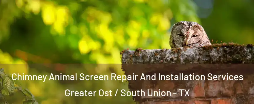Chimney Animal Screen Repair And Installation Services Greater Ost / South Union - TX
