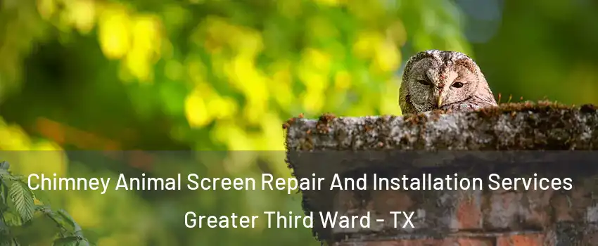 Chimney Animal Screen Repair And Installation Services Greater Third Ward - TX