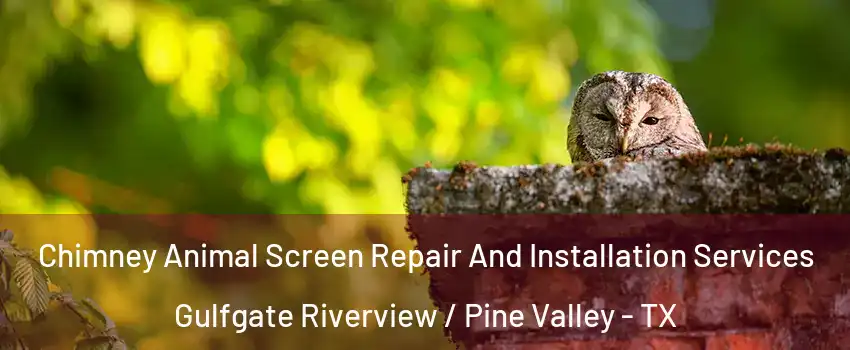 Chimney Animal Screen Repair And Installation Services Gulfgate Riverview / Pine Valley - TX