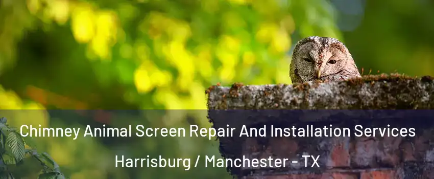 Chimney Animal Screen Repair And Installation Services Harrisburg / Manchester - TX
