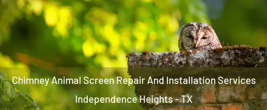 Chimney Animal Screen Repair And Installation Services Independence Heights - TX