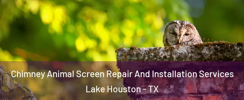 Chimney Animal Screen Repair And Installation Services Lake Houston - TX