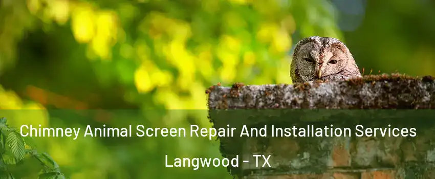 Chimney Animal Screen Repair And Installation Services Langwood - TX