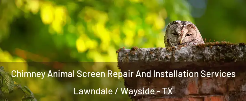Chimney Animal Screen Repair And Installation Services Lawndale / Wayside - TX