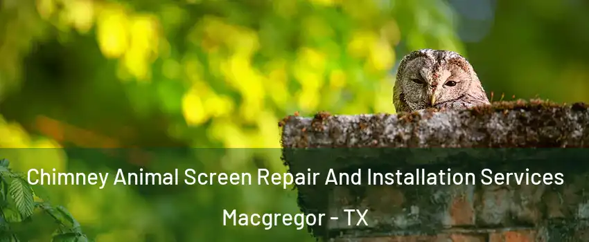 Chimney Animal Screen Repair And Installation Services Macgregor - TX