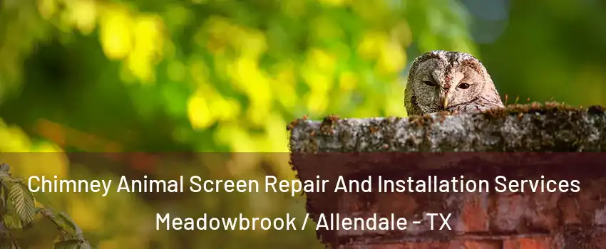 Chimney Animal Screen Repair And Installation Services Meadowbrook / Allendale - TX