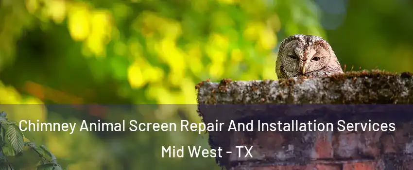 Chimney Animal Screen Repair And Installation Services Mid West - TX