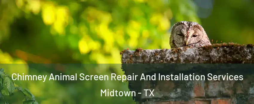 Chimney Animal Screen Repair And Installation Services Midtown - TX