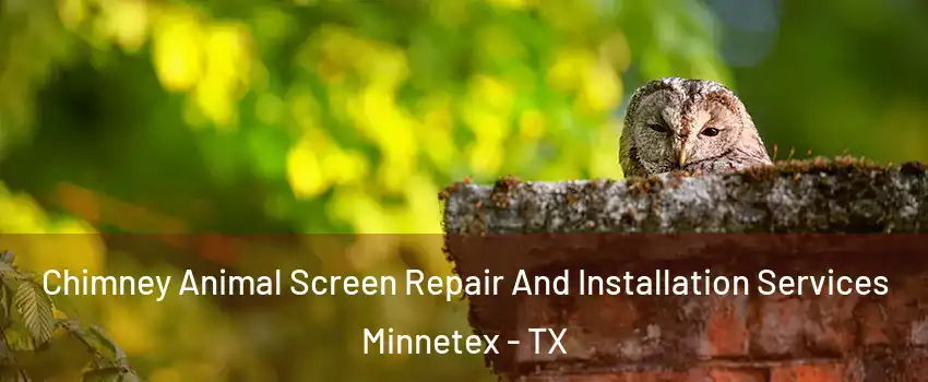 Chimney Animal Screen Repair And Installation Services Minnetex - TX