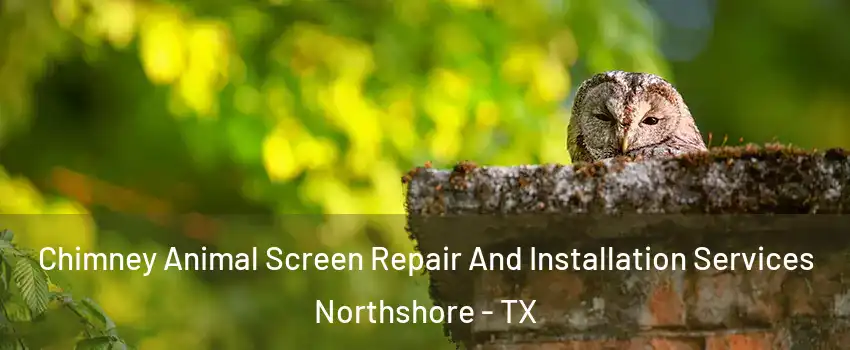 Chimney Animal Screen Repair And Installation Services Northshore - TX