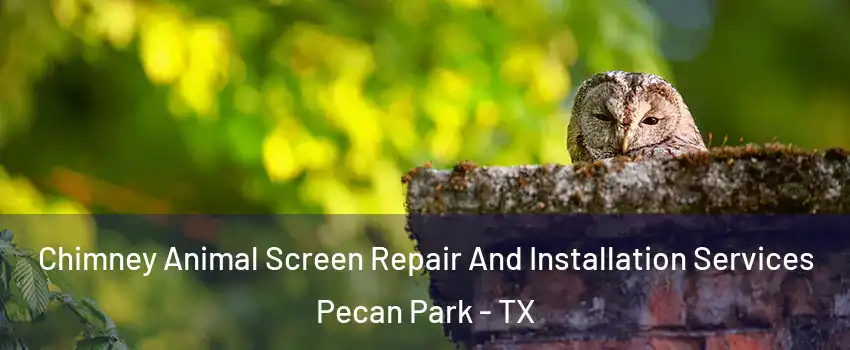 Chimney Animal Screen Repair And Installation Services Pecan Park - TX