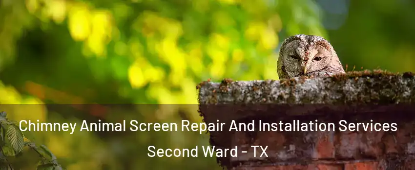 Chimney Animal Screen Repair And Installation Services Second Ward - TX