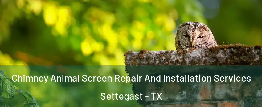 Chimney Animal Screen Repair And Installation Services Settegast - TX