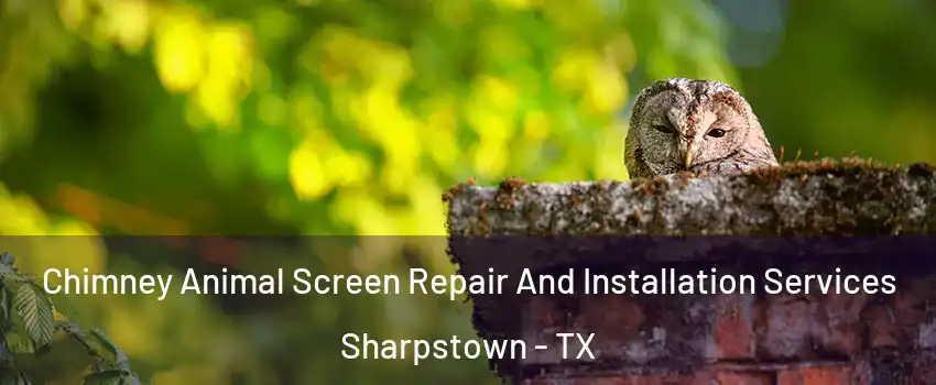 Chimney Animal Screen Repair And Installation Services Sharpstown - TX
