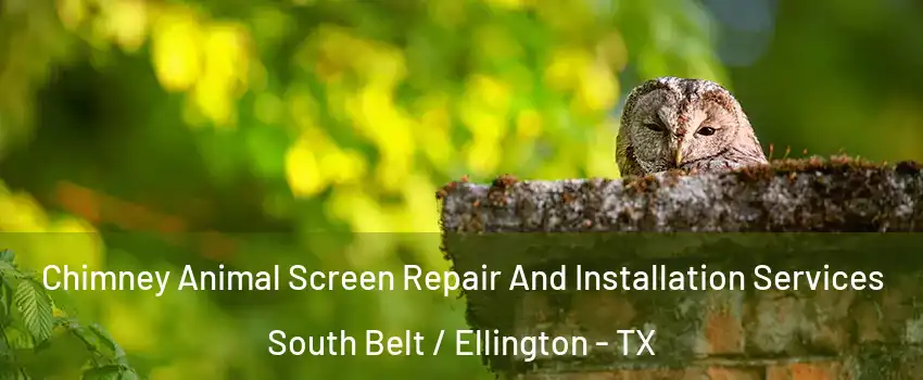 Chimney Animal Screen Repair And Installation Services South Belt / Ellington - TX