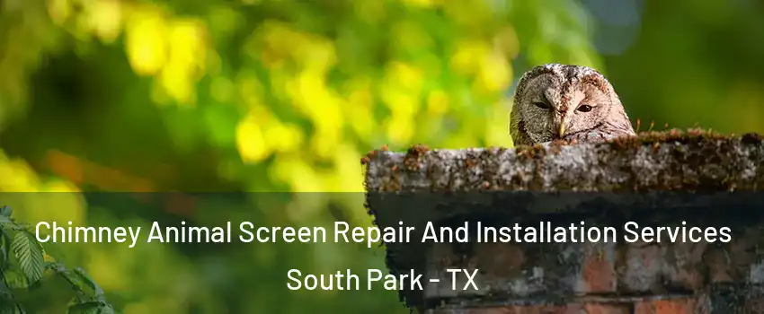 Chimney Animal Screen Repair And Installation Services South Park - TX