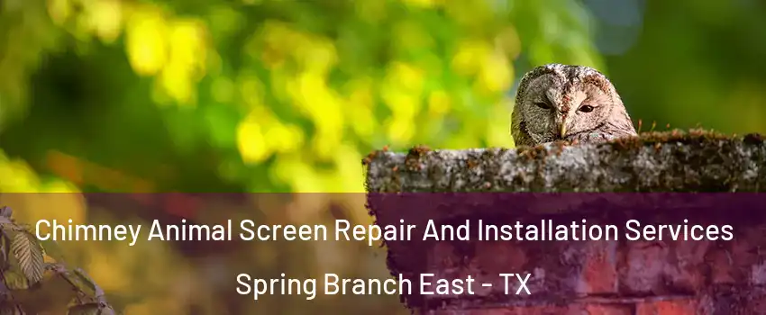 Chimney Animal Screen Repair And Installation Services Spring Branch East - TX