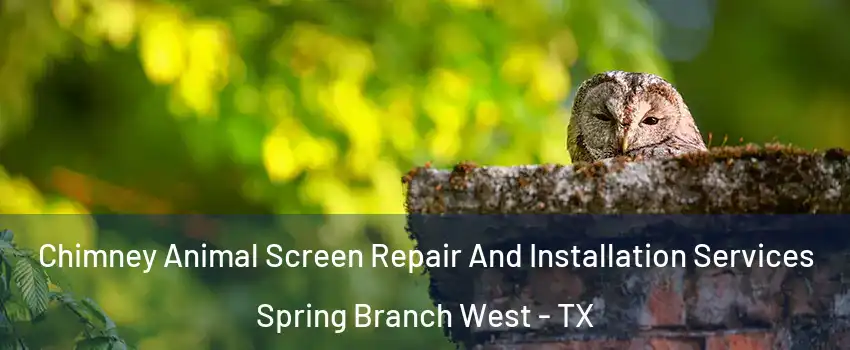 Chimney Animal Screen Repair And Installation Services Spring Branch West - TX