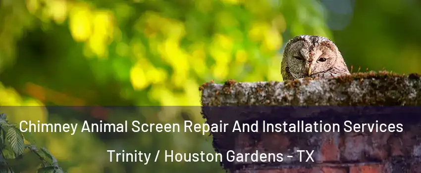 Chimney Animal Screen Repair And Installation Services Trinity / Houston Gardens - TX