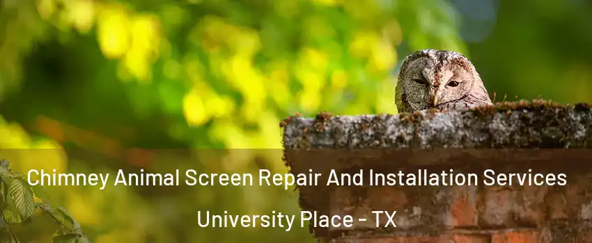Chimney Animal Screen Repair And Installation Services University Place - TX