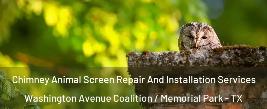 Chimney Animal Screen Repair And Installation Services Washington Avenue Coalition / Memorial Park - TX