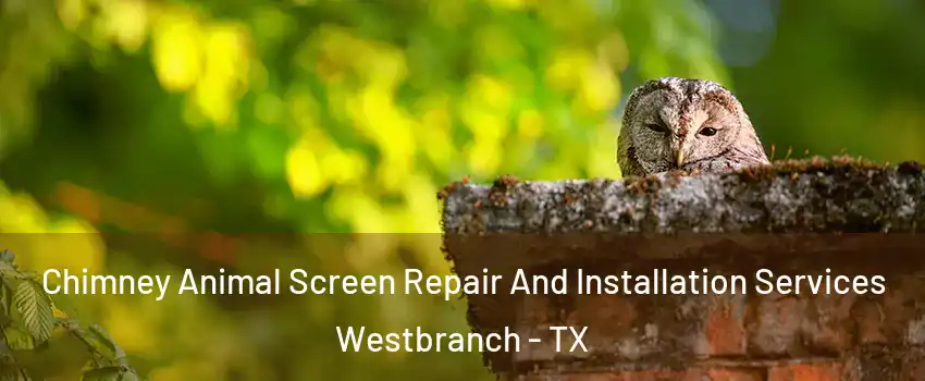 Chimney Animal Screen Repair And Installation Services Westbranch - TX