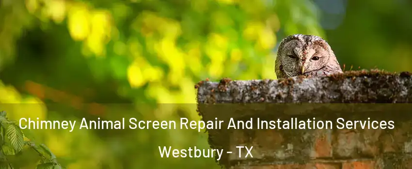 Chimney Animal Screen Repair And Installation Services Westbury - TX