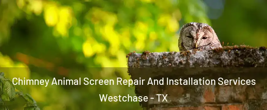 Chimney Animal Screen Repair And Installation Services Westchase - TX