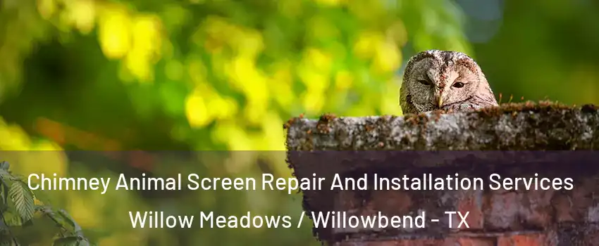 Chimney Animal Screen Repair And Installation Services Willow Meadows / Willowbend - TX
