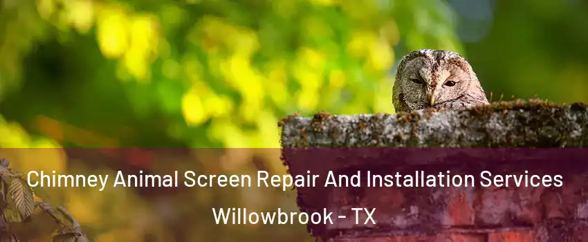 Chimney Animal Screen Repair And Installation Services Willowbrook - TX