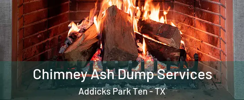 Chimney Ash Dump Services Addicks Park Ten - TX