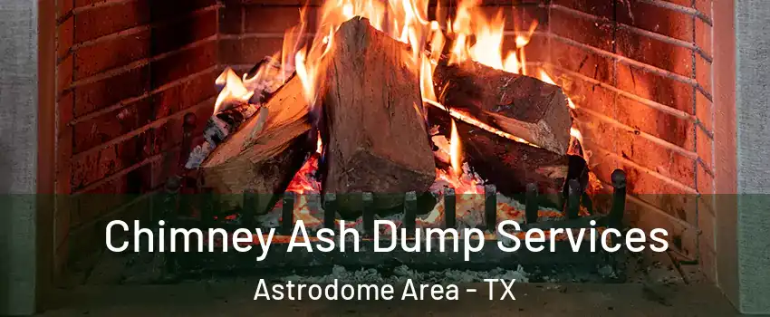 Chimney Ash Dump Services Astrodome Area - TX