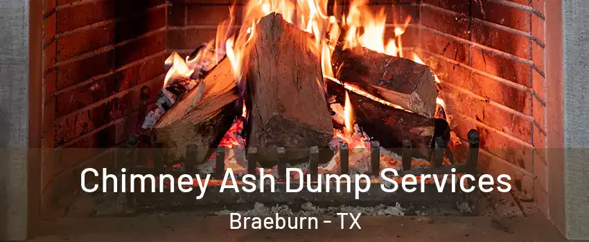 Chimney Ash Dump Services Braeburn - TX