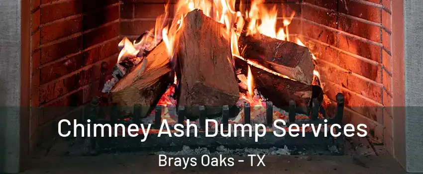 Chimney Ash Dump Services Brays Oaks - TX