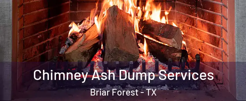 Chimney Ash Dump Services Briar Forest - TX