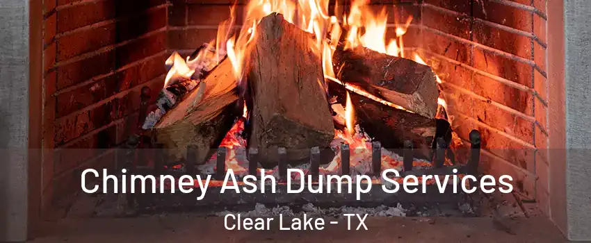 Chimney Ash Dump Services Clear Lake - TX