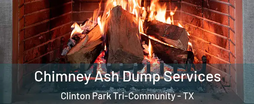 Chimney Ash Dump Services Clinton Park Tri-Community - TX