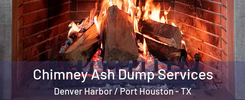 Chimney Ash Dump Services Denver Harbor / Port Houston - TX
