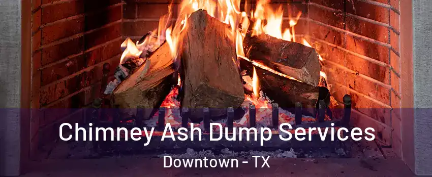 Chimney Ash Dump Services Downtown - TX