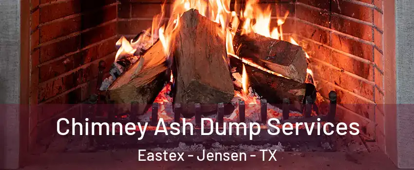 Chimney Ash Dump Services Eastex - Jensen - TX