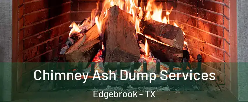 Chimney Ash Dump Services Edgebrook - TX