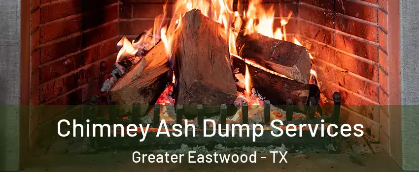 Chimney Ash Dump Services Greater Eastwood - TX