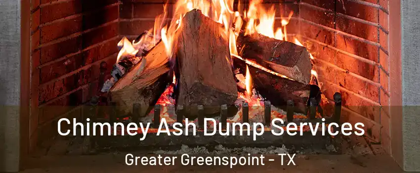 Chimney Ash Dump Services Greater Greenspoint - TX