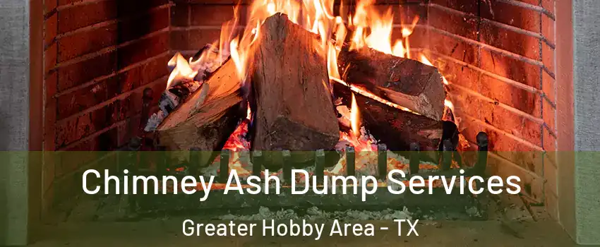 Chimney Ash Dump Services Greater Hobby Area - TX