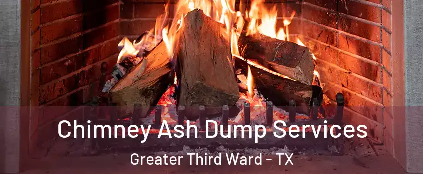 Chimney Ash Dump Services Greater Third Ward - TX