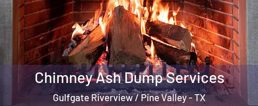 Chimney Ash Dump Services Gulfgate Riverview / Pine Valley - TX