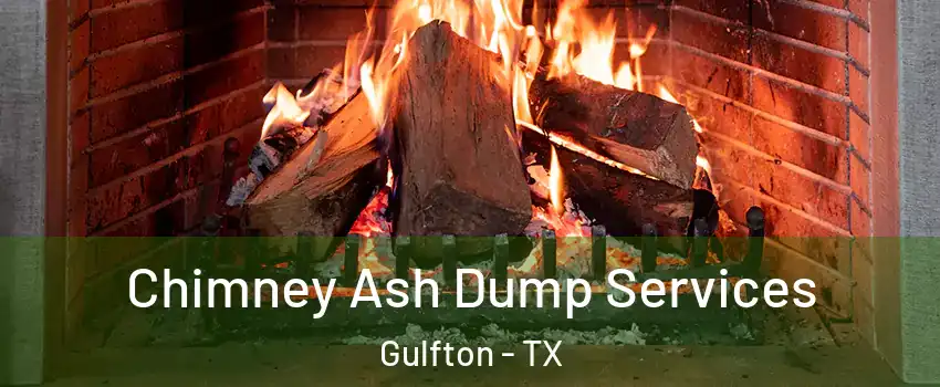 Chimney Ash Dump Services Gulfton - TX