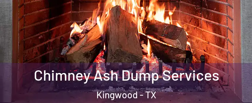 Chimney Ash Dump Services Kingwood - TX